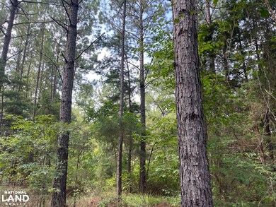 0 Turner Rd unit 21139205, Tuscaloosa, AL 35406 - photo 3