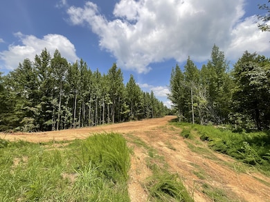 5 Lyle Hollow Rd, Palmyra, TN 37142 - photo 4