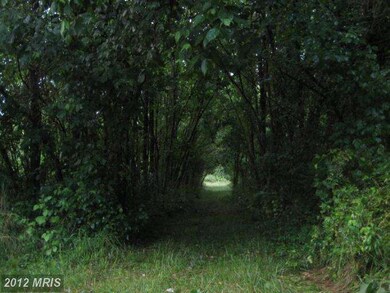 0 Shepherd Grade Rd unit 1004014652, Shepherdstown, WV 25443 - photo 7