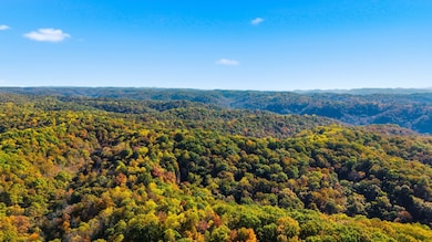 4300 Bull Run Rd, Ashland City, TN 37015 - photo 6