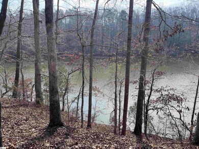 0 Lakeview Dr unit 1519656, Fair Play, SC 29643 - photo 4