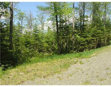 Lot 6 Mill Brook Rd, Rangeley, ME 04970 - photo 6