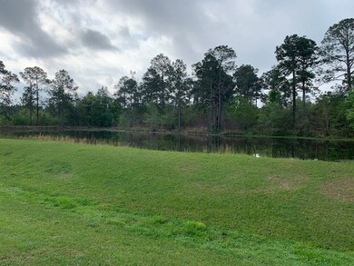 0 Mcmillan Rd, Ochlocknee, GA 31773 - photo 5