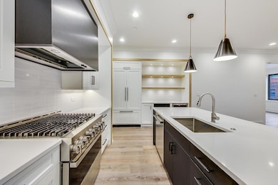 4920 N Lincoln Ave unit 4N, Chicago, IL 60625 - photo 4