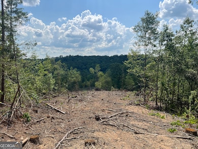 2055 Blacks Bluff Rd SW, Rome, GA 30161 - photo 6