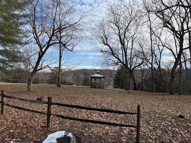 0 Mulberry Ln, Moneta, VA 24121 - photo 5