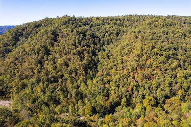 0 Jimmie Creek Rd, Regina, KY 41559 - photo 3