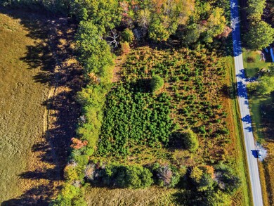 677 White Fall Rd, Gretna, VA 24557 - photo 5