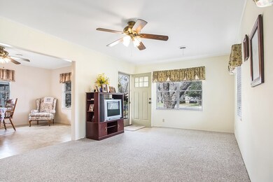 219 W Morse St, Fredericksburg, TX 78624 - photo 3