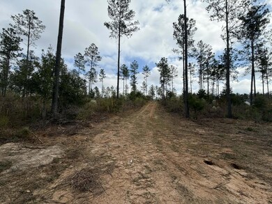 0 Cr 472 unit 144947, Meridian, MS 39301 - photo 7