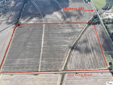 000 Seal Loop Rd, Holly Ridge, LA 71269 - photo 5