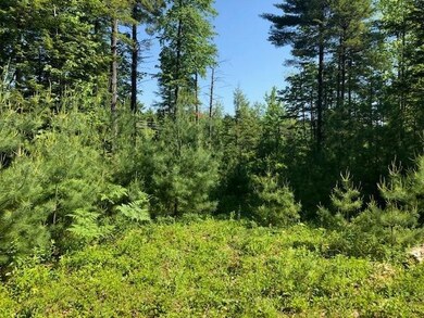 0 Dutton Hill Rd unit 1513882, Gray, ME 04039 - photo 4