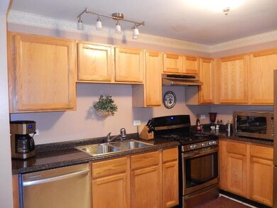 1613 Orchard Ave unit 23C161, Schaumburg, IL 60193 - photo 7