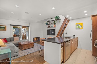 910 W Hallam St unit 11, Aspen, CO 81611 - photo 6