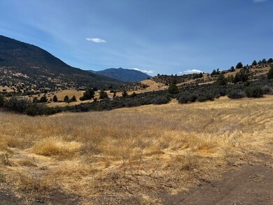 Unit 3 Lot 145 Whitepine Rd unit 3, Hornbrook, CA 96044 - photo 3