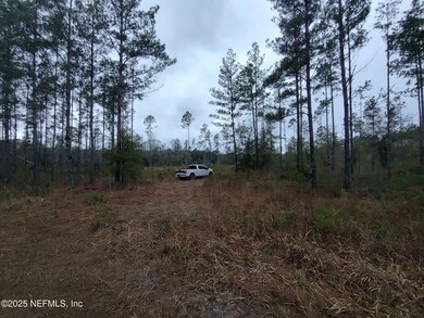 1757 Whippoorwill Ln, Glen St. Mary, FL 32040 - photo 6