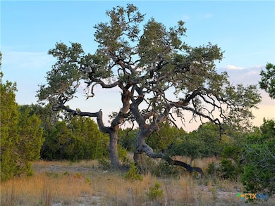 100 Acres N Cranes Mill Rd, Canyon Lake, TX 78133 - photo 7