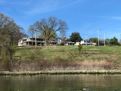 22 Sasparilla Ln, Kimberling City, MO 65686 - photo 4