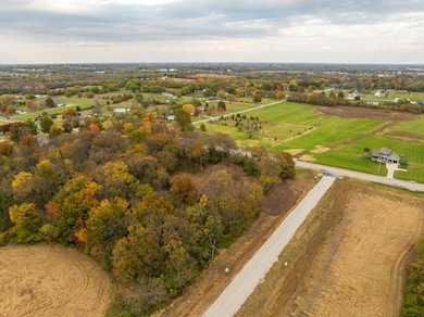 Lot 1 Timber Ridge Dr, Peculiar, MO 64078 - photo 2