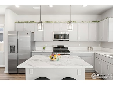 309 Pony Express Trail, Ault, CO 80610 - photo 5