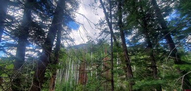 222 Engineer Dr, Durango, CO 81301 - photo 4