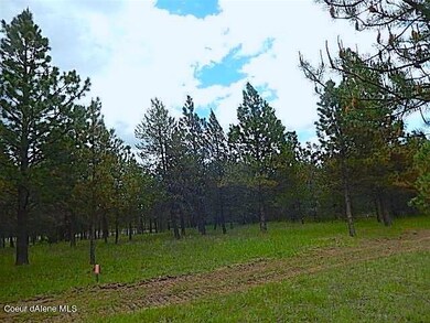 NKA Hwy 95, Athol, ID 83801 - photo 5