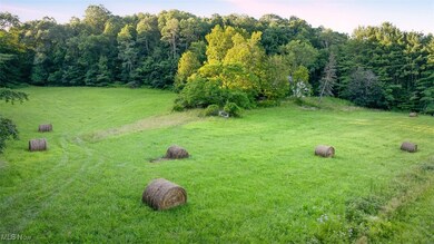 36900 Lower Clearfork Rd, Cadiz, OH 43907 - photo 3