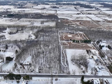 0 S Royston Rd unit 285357, Eaton Rapids, MI 48827 - photo 4