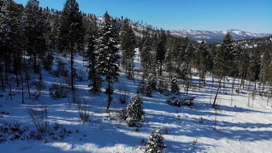 1050 Spring Hill Rd, Kila, MT 59920 - photo 5