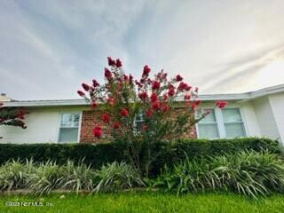 560 Bay Ridge Rd, Jacksonville, FL 32216 - photo 5