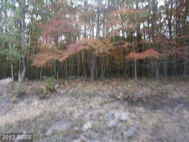 0 Roberts Ln unit 1003733060, Great Cacapon, WV 25422 - photo 6