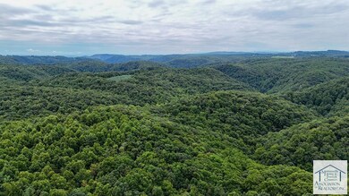 1986 Bent Rd, Meadows of Dan, VA 24120 - photo 6