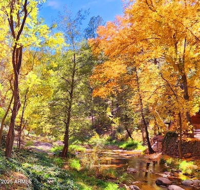 backyard autumn creek view