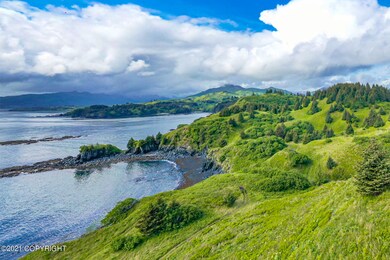 5986 Cliff Point Rd, Kodiak, AK 99615 - photo 2