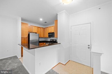 1516 N Point Dr unit 303, Reston, VA 20194 - photo 5
