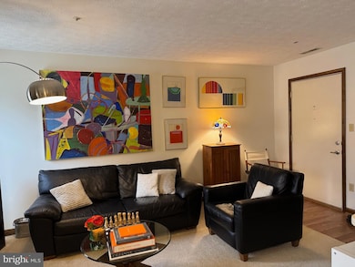 44792 Locust Ridge Ct unit 858, California, MD 20619 - photo 7