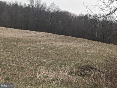 Lot 2C New Bloomfield, Duncannon, PA 17020 - photo 2