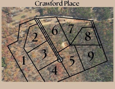 8 Crawford Crest, Dawsonville, GA 30534 - photo 6