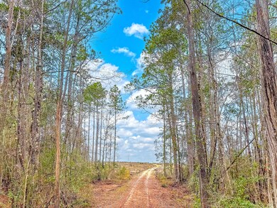 Tract#6418 Bryant Bay Rd unit Mattox Springs NW 97, Caryville, FL 32427 - photo 6