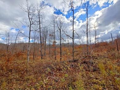 0 Mancelona Rd unit 25571179, Mancelona, MI 49659 - photo 7