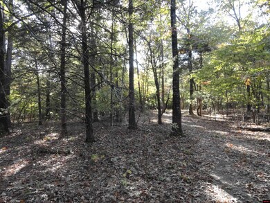 001-02056-001 Hand Cove Rd, Elizabeth, AR 72531 - photo 2