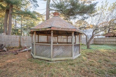 Carousel Image