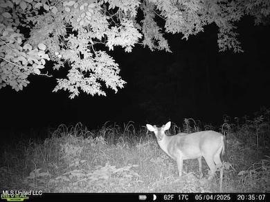 00 Old Highway 80 E, Morton, MS 39117 - photo 5