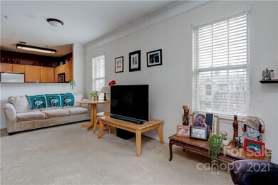 331 Appeldoorn Cir unit 331, Asheville, NC 28803 - photo 7