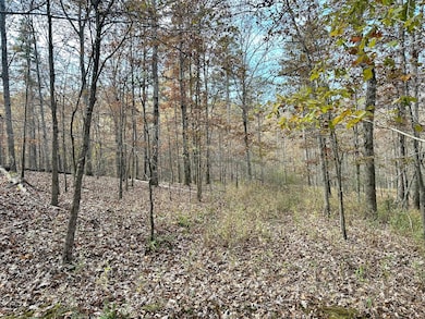 000 Route Z Hwy, van Buren, MO 63965 - photo 7