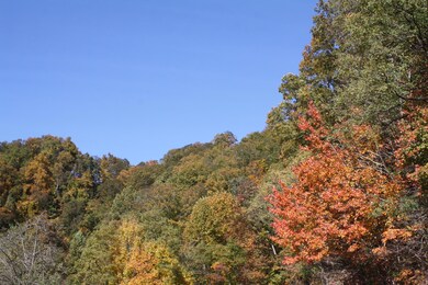 IMG_2631