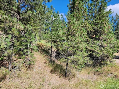 0 Lot 1 Klondike Rd, Republic, WA 99166 - photo 7