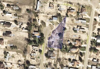 1010 Hawk St, Alamo, TX 78516 - photo 6