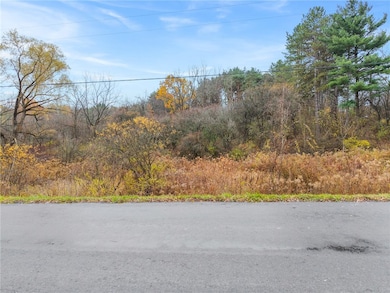 0 Seneca St, Trumansburg, NY 14886 - photo 2