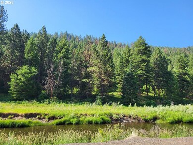 0 Middle Fork Rd unit 23503718, Longcreek, OR 97856 - photo 5